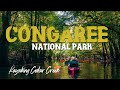 Congaree National Park: Kayaking Cedar Creek [4K]