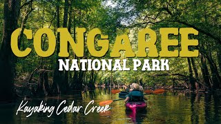 Congaree National Park: Kayaking Cedar Creek [4K]