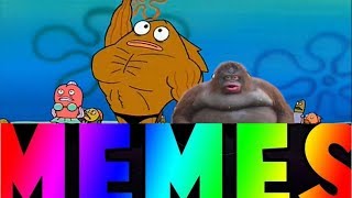 EXTREMELY UNUSUAL MEMES COMPILATION v9