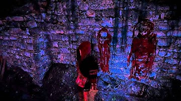 The Witcher 2 Assassins of Kings-Chapter 1-In the Claws of Madness