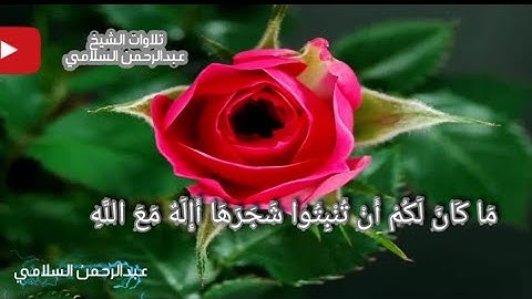 ما تيسر من سورة النمل بصوت القارئ عبدالرحمن السلامي