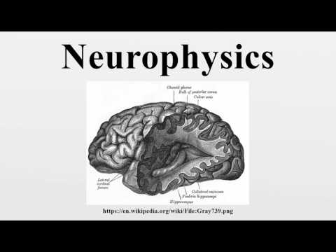 Neurophysics