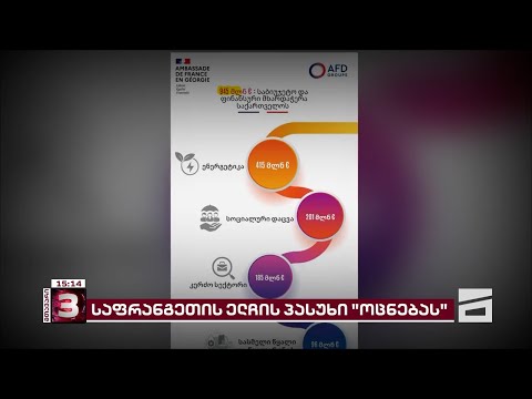 ელჩის პასუხი პაპუაშვილის დეზინფორმაციას