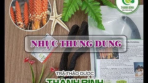 Nhục thung dung | Công dụng của nhục thung dung trong điều trị bệnh