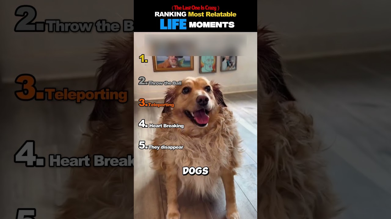 Ranking The Most Relatable Life Moments (Pt 4)