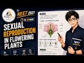⚡NEET | Sexual Reproduction In Flowering Plants | 30 mins | Mindmap
