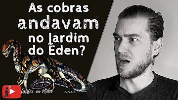 Como as cobras evoluíram?