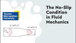 Demonstration: No Slip Condition in Fluid Mechanics 