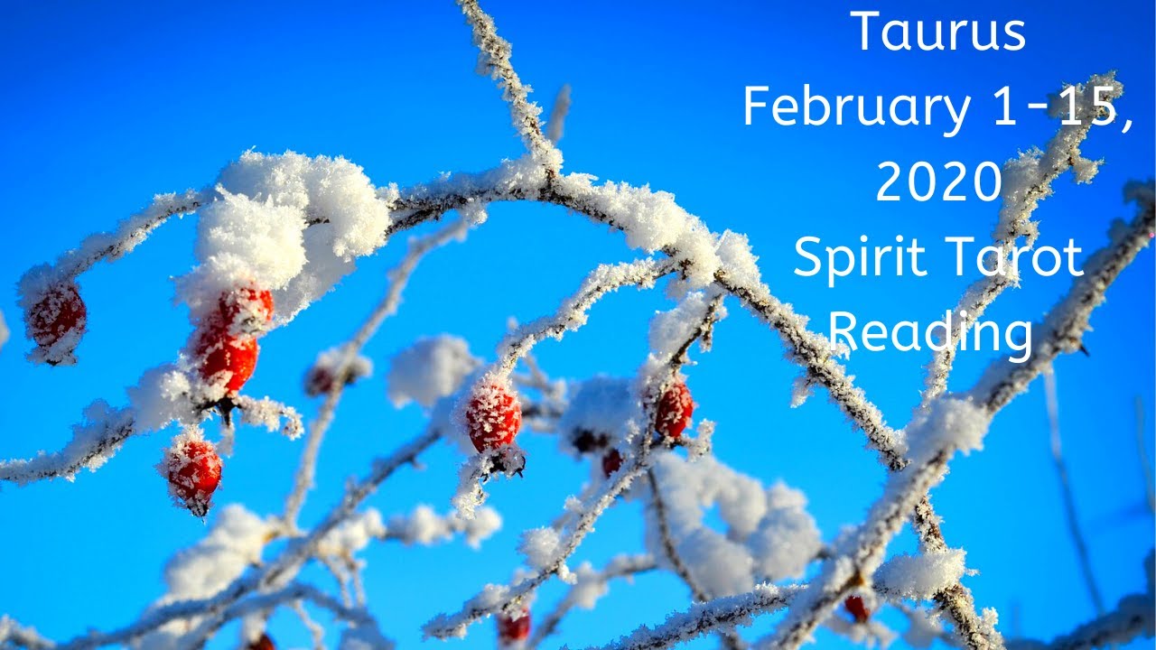 Taurus, The Impossible Becomes Possible | Psychic Empath Tarot Reading