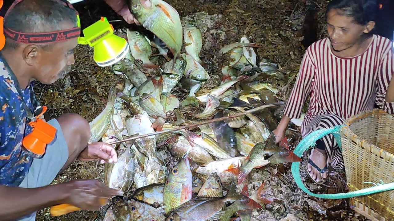 Hari Ke.32 Ribuan Ikan Terdampar Kekeringan di Pulau, Camp Fishing