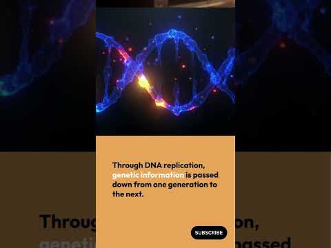 Video: Mida on vaja DNA replikatsiooniks?