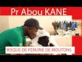 Pr abou kane eleveur son parcoure sur faune et flore