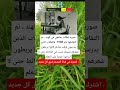 اشترك في قناة المصمم لترى كل جديد اكسبلور فاكس ترند اقنباسات تيك توك Memes Funny دويت 