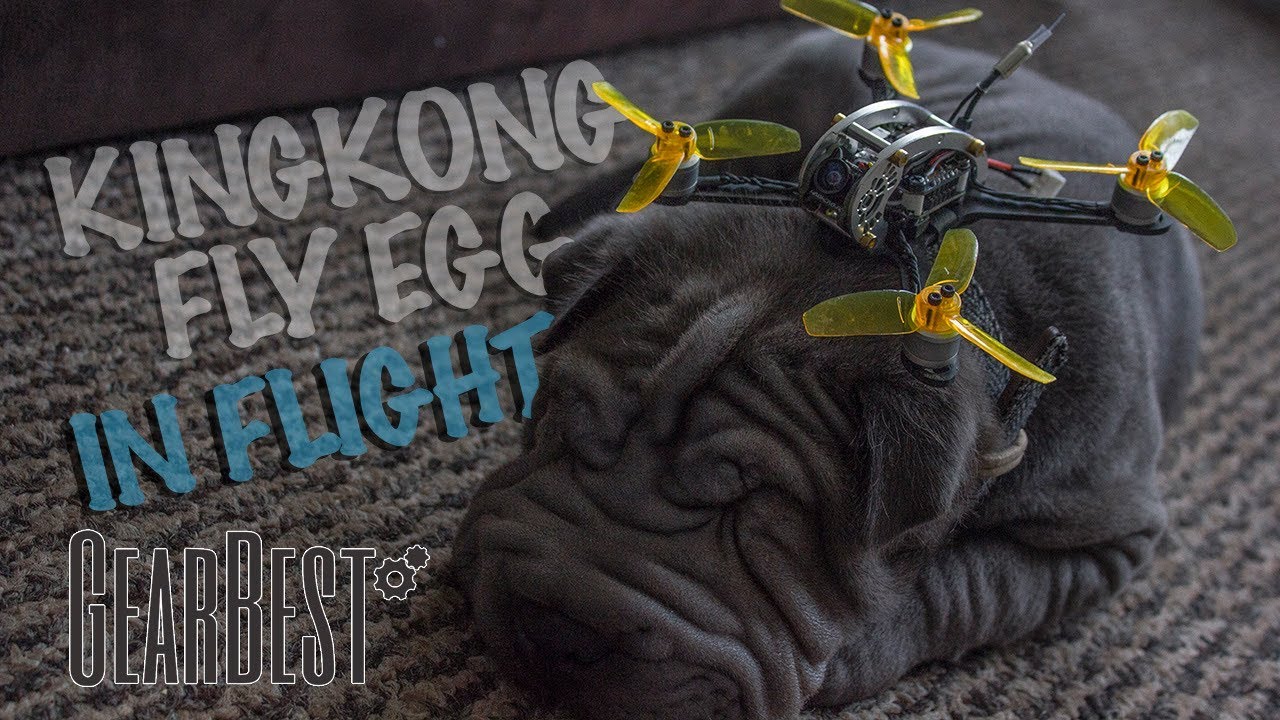 KingKong Fly Egg 130 Racing Drone Review - In Flight