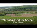 Finding the Sheep on Leased Pasture