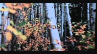 Yeliben Vol 2 Mimi.wmv