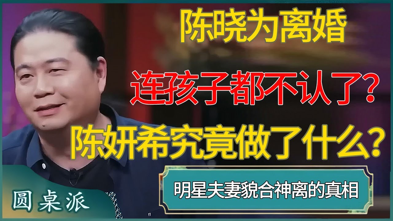 陈晓为离婚连孩子都不认了？陈妍希究竟做了什么？ #窦文涛 #梁文道 #马未都 #周轶君 #马家辉 #许子东 #圆桌派  #圆桌派第八季