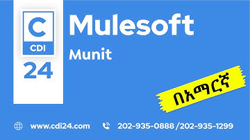 MuleSoft in Amharic-Munit