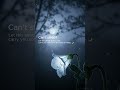 Gentle Guitar note🎸#RelaxingMusic #SleepMusic #StudyMusic #WorkMusic #MeditationMusic #FocusMusic