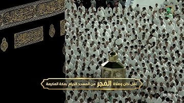 سورة الأنبياء 78-90 - صلاة الفجر - للشيخ الوليد الشمسان - الإثنين 12 محرم 1447