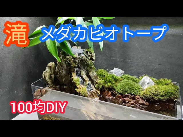 100 Yen DIY [Medaka Biotope] Make a waterfall with porous stones