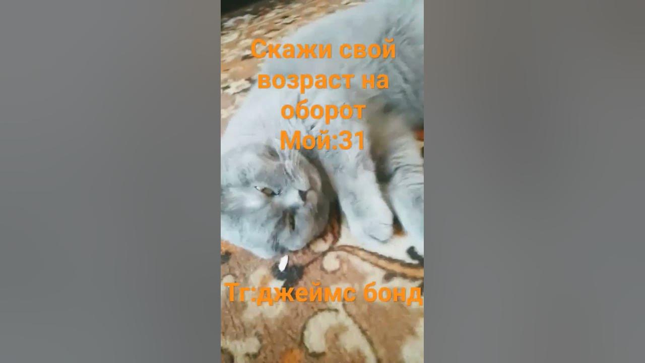 юмони юмони.. - YouTube