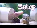 20 Gallon Axolotl Tank Setup UPGRADE!