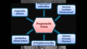 Programación Entera