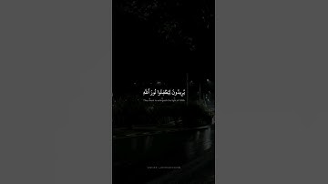 يُرِيدُونَ لِيُطْفِـُٔوا۟ نُورَ ٱللَّهِ بِأَفْوَٰهِهِمْ | محمد صدیق المنشاوي | سورة الصف {٨}