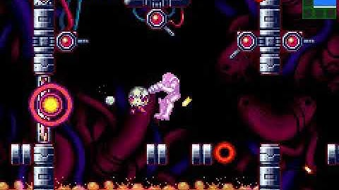 Metroid Zero Walkthru Part 13 {Tourian, The Metroids, And Mother Brain}