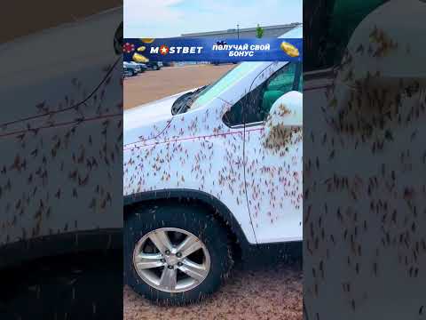 Нельзя было оставлять машину...😰 #обзор #шортс #фильм