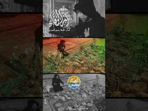 ام الوفاء حسين السيسي 2025 قناة العقيلة اكسبلور الامام الحسين جديد ترند قصائد حسينية 