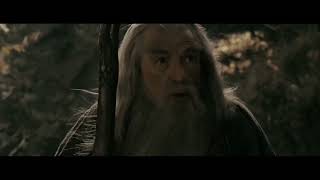 The Black Speech of Mordor uttered by Galdalf the Grey in Rivendell #TheFellowshipOfTheRing