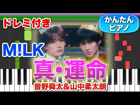 真・運命／M!LK(曽野舜太&山中柔太朗) 【ドレミ楽譜歌詞付き】初心者向けゆっくり簡単ピアノ 弾いてみた Easy Piano Tutorial 初級 ミルク マジ・デスティニー