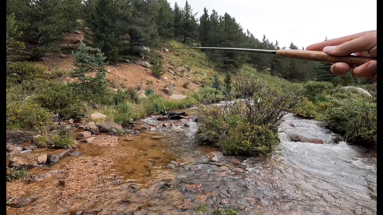 A drizzly day catching Cutthroat Trout