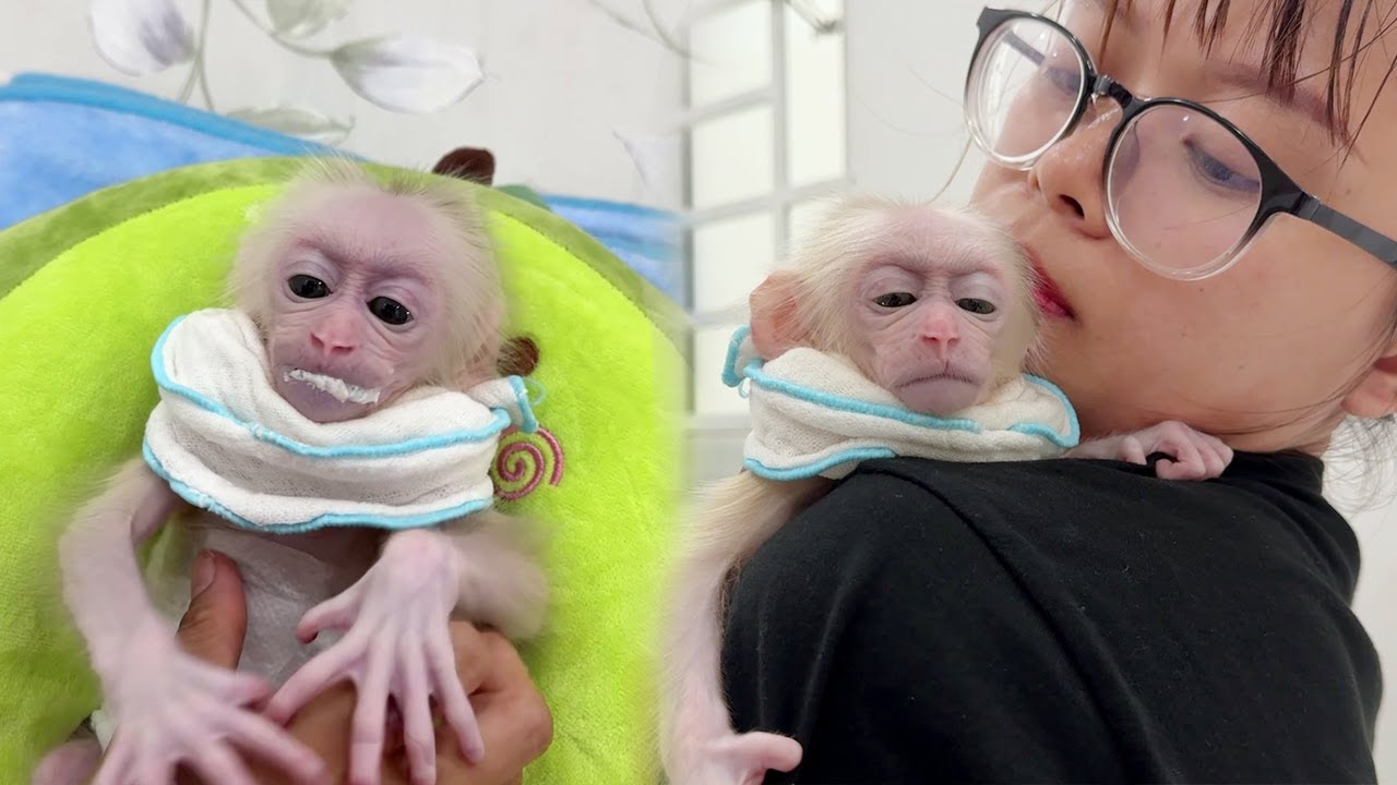 Super Mom Cares for Lucky Burping While Drinking Milk