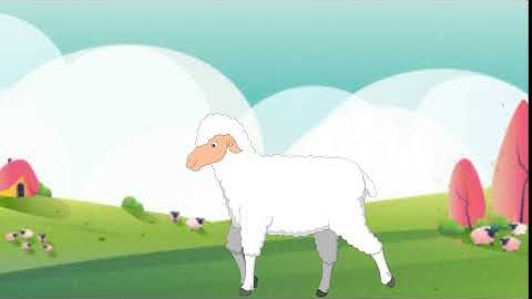 Animal  walk cycle (Animation) | Learn 2D and 3D Animation Online Course fro Pepper Animation