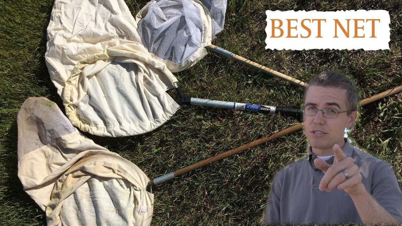 Picking the Best Net for Insect Collecting 