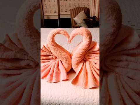 Swan heart towel folding #short