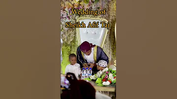 Afif Mohammed Taj Wedding زواج الشيخ عفيف تاج 