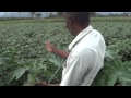 L3ftncom life long learning  rsga seed kannivadi thamil nadu farmers