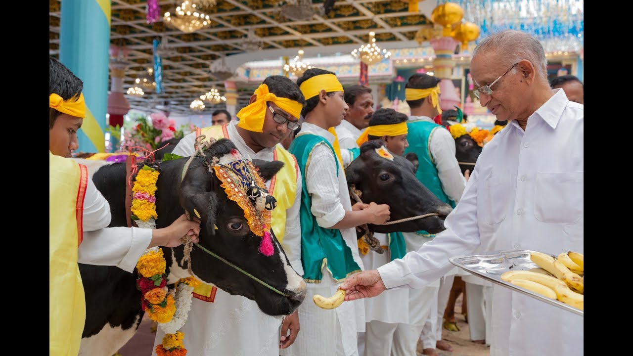 bhajans mooji 2019 Krishna Janmashtami Celebrations (Morning Program) at Prasanthi Nilayam - 15 Aug 2017