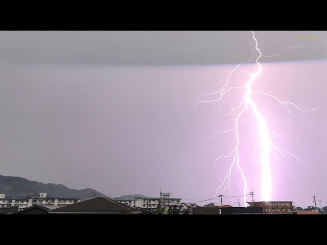 ⚡︎雷輝空⚡︎ YouTube