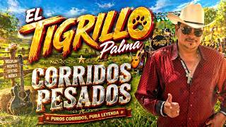 🎶 El Tigrillo Palma 🕺Corridos Perrones de Pura Calidad 💯 ¡Grandes Éxitos!