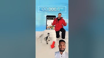 Can I Teach a Penguin To Subscribe? Video By MrBeast