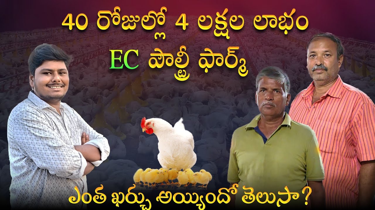 85 లక్షల పెట్టుబడి తో మొదలై... ప్రతి 40 రోజులకు రూ.4-5 లక్షల లాభం! 💪🌾 | EC పౌల్ట్రీ ఫార్మ్ అసలు కథ
