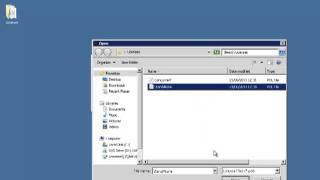 Using the Silk Standalone License Installer