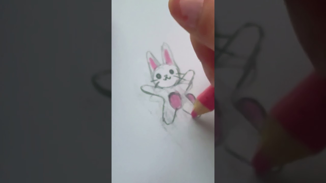 Fun gift idea for bunny lovers!🐰🌷