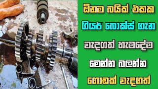 How Work Any Bike Engine Gear Box | All Bike Gear Box Working Sinhala Piston With Anu Bro