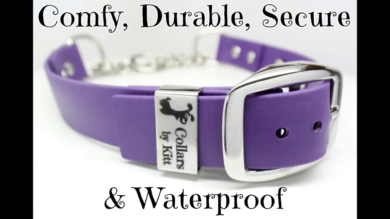 Biothane Martingale Dog Collar Waterproof YouTube